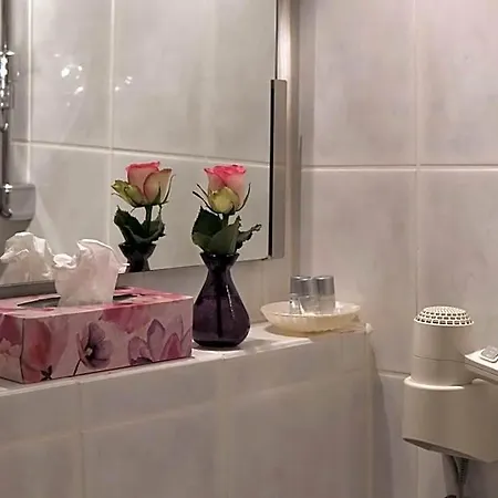 Brunnenhof International Hotel 3*